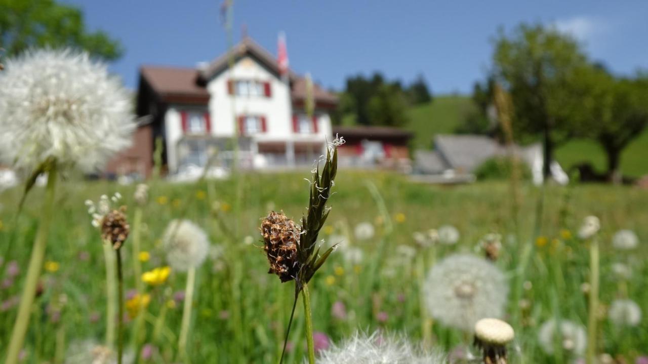 Gasthaus Schwand Engelberg Ngoại thất bức ảnh